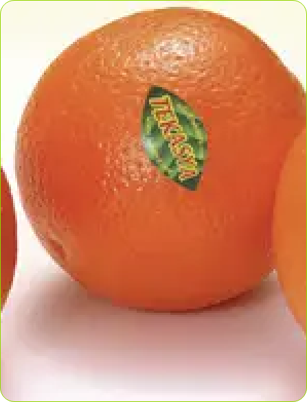 orange 1