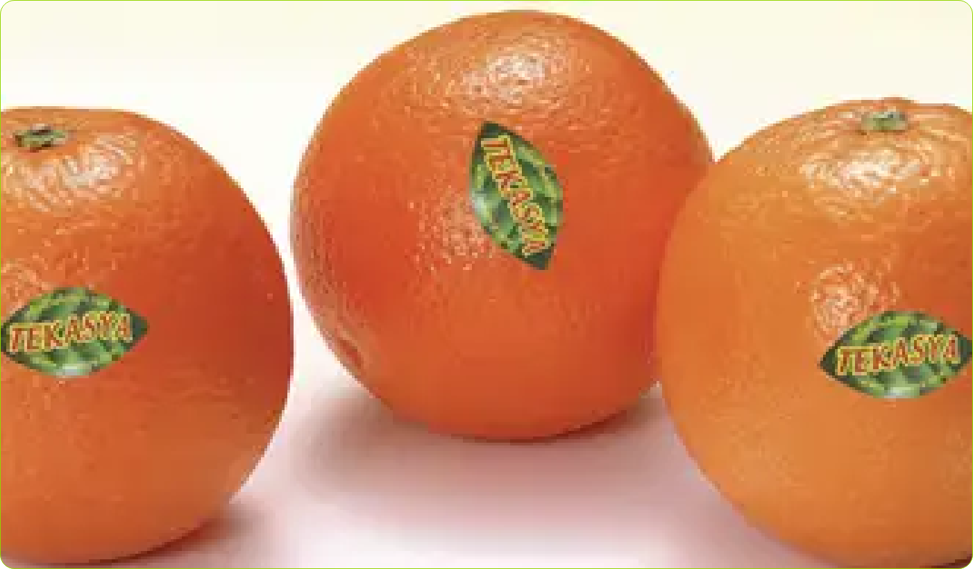 orange 1